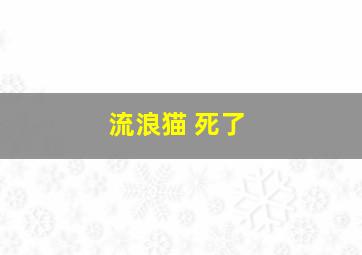 流浪猫 死了